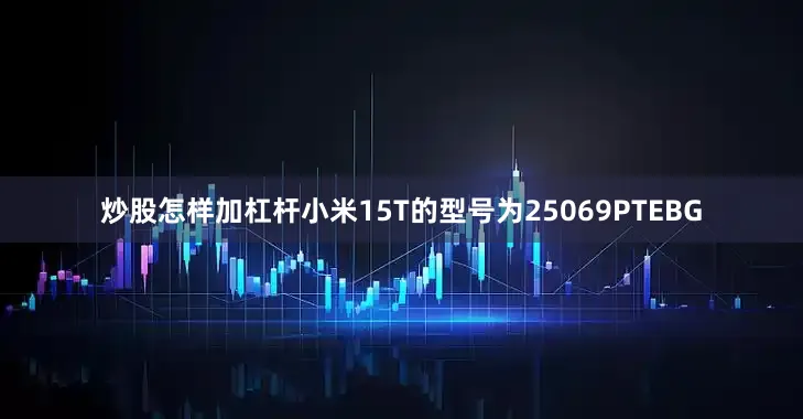 炒股怎样加杠杆小米15T的型号为25069PTEBG